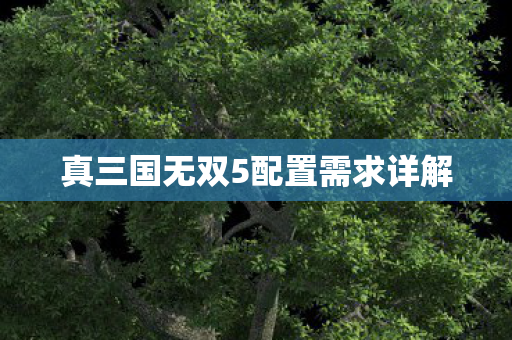 真三国无双5配置需求详解图片