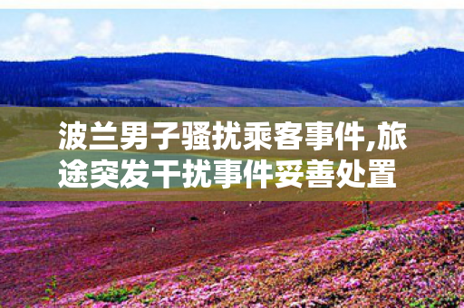 波兰男子骚扰乘客事件,旅途突发干扰事件妥善处置 共筑友好文明出行氛围 波兰男子骚扰乘客事件,旅途突发干扰事件妥善处置 共筑友好文明出行氛围