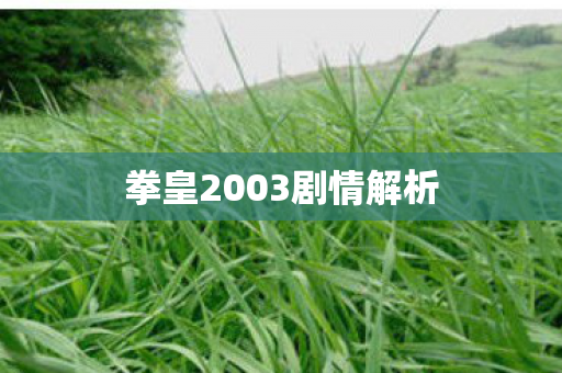 拳皇2003剧情解析图片