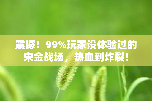 震撼!99%玩家没体验过的宋金战场,热血到炸裂! 震撼!99%玩家没体验过的宋金战场,热血到炸裂!