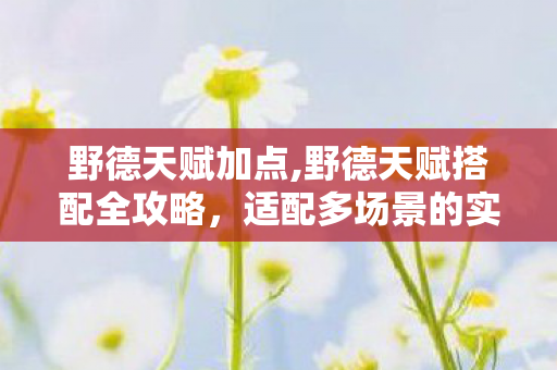野德天赋加点,野德天赋搭配全攻略,适配多场景的实用玩法思路 野德天赋加点,野德天赋搭配全攻略,适配多场景的实用玩法思路
