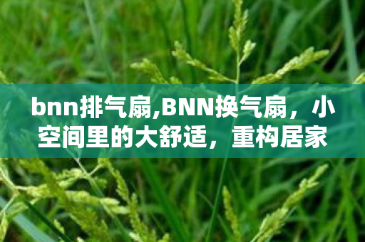 bnn排气扇,BNN换气扇，小空间里的大舒适，重构居家通风新体验