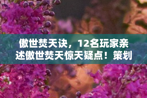 傲世焚天诀,12名玩家亲述傲世焚天惊天疑点!策划这波操作让全网绷不住了 傲世焚天诀,12名玩家亲述傲世焚天惊天疑点!策划这波操作让全网绷不住了