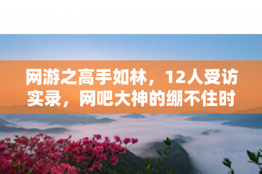 网游之高手如林，12人受访实录，网吧大神的绷不住时刻，疑点重重谁在演？