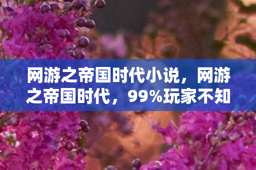 网游之帝国时代小说,网游之帝国时代,99%玩家不知道的3大氪金猫腻,越玩越上头? 网游之帝国时代小说,网游之帝国时代,99%玩家不知道的3大氪金猫腻,越玩越上头?