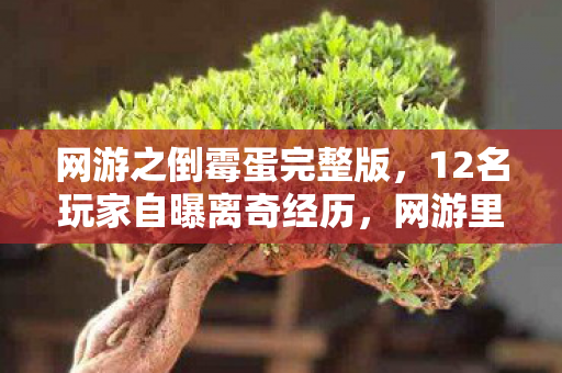 网游之倒霉蛋完整版，12名玩家自曝离奇经历，网游里最倒霉的天选之子，真相让人绷不住！