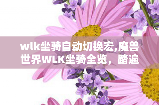 wlk坐骑自动切换宏,魔兽世界WLK坐骑全览，踏遍诺森德霜雪的专属冒险伙伴