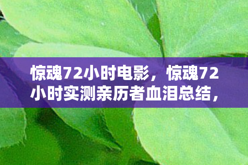 惊魂72小时电影,惊魂72小时实测亲历者血泪总结,这3个趋势将颠覆2027游戏圈! 惊魂72小时电影,惊魂72小时实测亲历者血泪总结,这3个趋势将颠覆2027游戏圈!