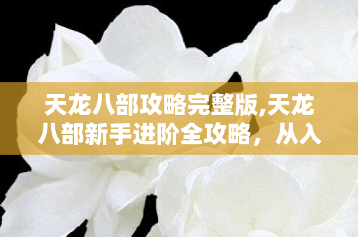 天龙八部攻略完整版,天龙八部新手进阶全攻略，从入门到畅玩江湖的实用指南