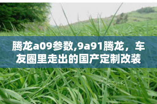 腾龙a09参数,9a91腾龙,车友圈里走出的国产定制改装标杆 腾龙a09参数,9a91腾龙,车友圈里走出的国产定制改装标杆