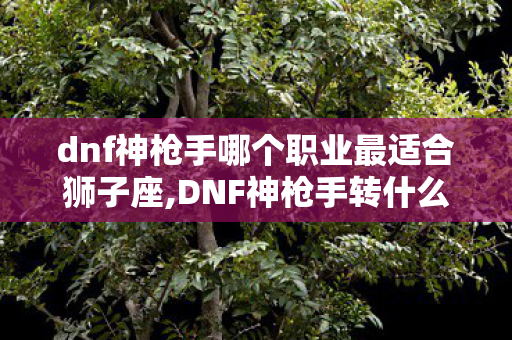 dnf神枪手哪个职业最适合狮子座,DNF神枪手转什么职业好?不同游玩需求转职选择全指南 dnf神枪手哪个职业最适合狮子座,DNF神枪手转什么职业好?不同游玩需求转职选择全指南