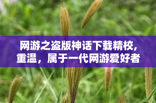 网游之盗版神话下载精校,重温,属于一代网游爱好者的青春文学印记 网游之盗版神话下载精校,重温,属于一代网游爱好者的青春文学印记