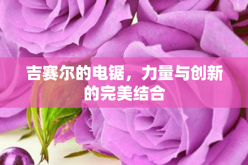 力量与创新的完美结合图片