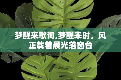 梦醒来歌词,梦醒来时，风正载着晨光落窗台