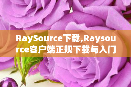 RaySource下载,Raysource客户端正规下载与入门使用全指南