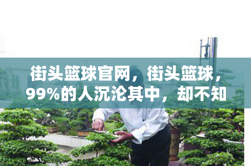 街头篮球官网,街头篮球,99%的人沉沦其中,却不知这背后藏着多少扎心真相 街头篮球官网,街头篮球,99%的人沉沦其中,却不知这背后藏着多少扎心真相