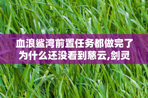 血浪鲨湾前置任务都做完了为什么还没看到慈云,剑灵怀旧服入门指南，血浪鲨湾前置任务全流程梳理