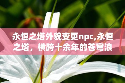 永恒之塔外貌变更npc,永恒之塔,横跨十余年的苍穹浪漫,仍是无数玩家心中的白月光 永恒之塔外貌变更npc,永恒之塔,横跨十余年的苍穹浪漫,仍是无数玩家心中的白月光