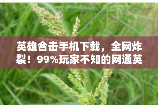 英雄合击手机下载,全网炸裂!99%玩家不知的网通英雄合击隐藏剧情,你竟是最后知情者? 英雄合击手机下载,全网炸裂!99%玩家不知的网通英雄合击隐藏剧情,你竟是最后知情者?