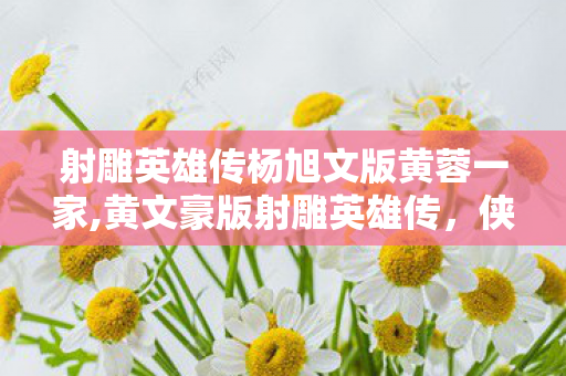 射雕英雄传杨旭文版黄蓉一家,黄文豪版射雕英雄传,侠气与烟火气交织的经典荧幕印记 射雕英雄传杨旭文版黄蓉一家,黄文豪版射雕英雄传,侠气与烟火气交织的经典荧幕印记