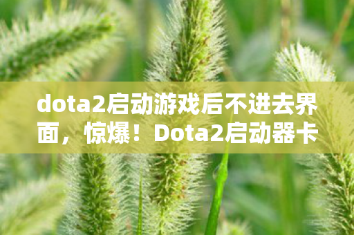 dota2启动游戏后不进去界面,惊爆!Dota2启动器卡死背后竟藏百万隐情,真相让人吓一跳! dota2启动游戏后不进去界面,惊爆!Dota2启动器卡死背后竟藏百万隐情,真相让人吓一跳!