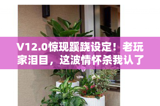 V12.0惊现蹊跷设定!老玩家泪目,这波情怀杀我认了 V12.0惊现蹊跷设定!老玩家泪目,这波情怀杀我认了
