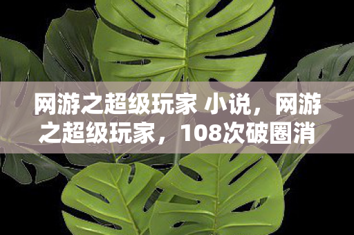 网游之超级玩家 小说,网游之超级玩家,108次破圈消费,解锁意想不到的遗世周边宇宙 网游之超级玩家 小说,网游之超级玩家,108次破圈消费,解锁意想不到的遗世周边宇宙