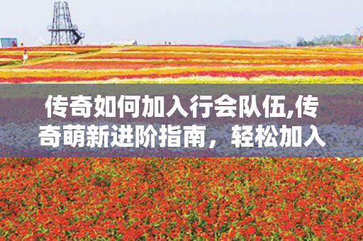 传奇如何加入行会队伍,传奇萌新进阶指南,轻松加入心仪行会的全流程攻略 传奇如何加入行会队伍,传奇萌新进阶指南,轻松加入心仪行会的全流程攻略