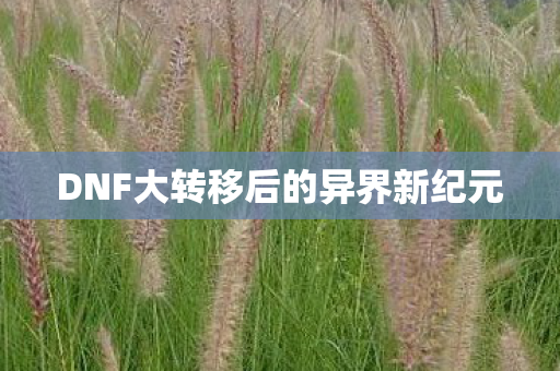 DNF大转移后的异界新纪元图片