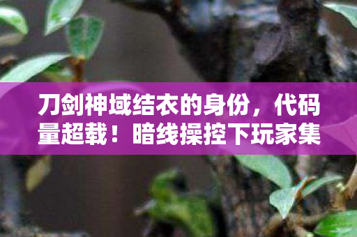 刀剑神域结衣的身份，代码量超载！暗线操控下玩家集体头皮发麻的赛博暴动