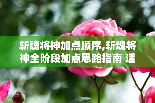 斩魂将神加点顺序,斩魂将神全阶段加点思路指南 适配多场景玩法需求