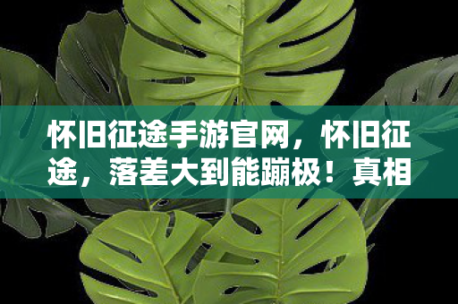 怀旧征途手游官网,怀旧征途,落差大到能蹦极!真相竟是青春滤镜,笑着笑着就哭了 怀旧征途手游官网,怀旧征途,落差大到能蹦极!真相竟是青春滤镜,笑着笑着就哭了