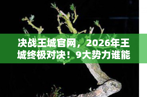 决战王城官网,2026年王城终极对决!9大势力谁能独占鳌头?悬念即将揭晓 决战王城官网,2026年王城终极对决!9大势力谁能独占鳌头?悬念即将揭晓