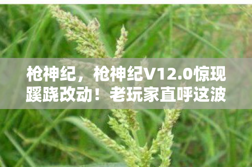 枪神纪,枪神纪V12.0惊现蹊跷改动!老玩家直呼这波操作绝了 枪神纪,枪神纪V12.0惊现蹊跷改动!老玩家直呼这波操作绝了