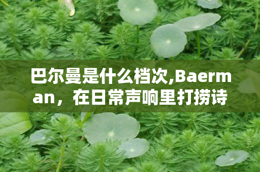 巴尔曼是什么档次,Baerman,在日常声响里打捞诗意的声音行者 巴尔曼是什么档次,Baerman,在日常声响里打捞诗意的声音行者