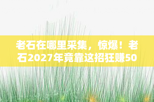 老石在哪里采集，惊爆！老石2027年竟靠这招狂赚500万？真相让人直呼不敢信！