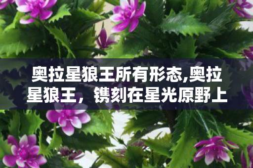 奥拉星狼王所有形态,奥拉星狼王，镌刻在星光原野上的少年游戏记忆