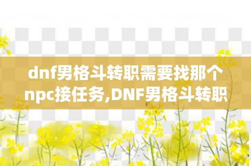 dnf男格斗转职需要找那个npc接任务,DNF男格斗转职全指南，四大流派各展锋芒的热血格斗之旅