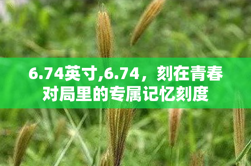 6.74英寸,6.74,刻在青春对局里的专属记忆刻度 6.74英寸,6.74,刻在青春对局里的专属记忆刻度