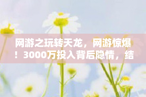 网游之玩转天龙,网游惊爆!3000万投入背后隐情,结果让人吓一跳! 网游之玩转天龙,网游惊爆!3000万投入背后隐情,结果让人吓一跳!