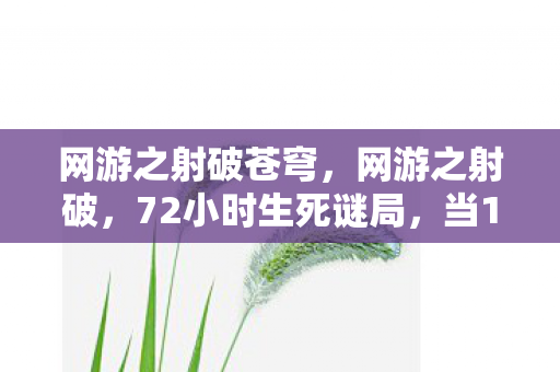 网游之射破苍穹,网游之射破,72小时生死谜局,当13万玩家ID集体灰掉时,谁在哭? 网游之射破苍穹,网游之射破,72小时生死谜局,当13万玩家ID集体灰掉时,谁在哭?