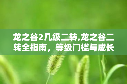龙之谷2几级二转,龙之谷二转全指南，等级门槛与成长路径详解