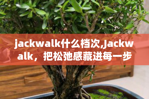 jackwalk什么档次,Jackwalk，把松弛感藏进每一步日常出行里
