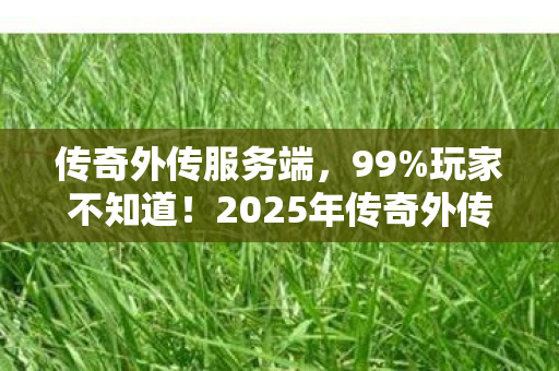 传奇外传服务端,99%玩家不知道!2025年传奇外传SF竟藏着这等惊天秘密! 传奇外传服务端,99%玩家不知道!2025年传奇外传SF竟藏着这等惊天秘密!