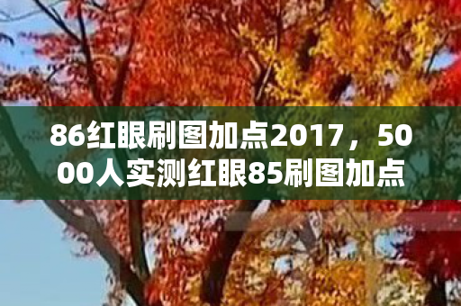 86红眼刷图加点2017，5000人实测红眼85刷图加点！疑点重重，这操作真绷不住了