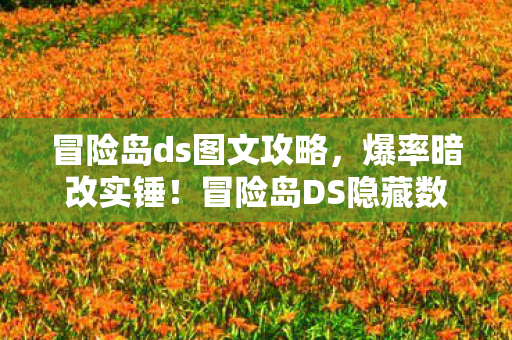 冒险岛ds图文攻略，爆率暗改实锤！冒险岛DS隐藏数值曝光，97%玩家不知的深渊陷阱