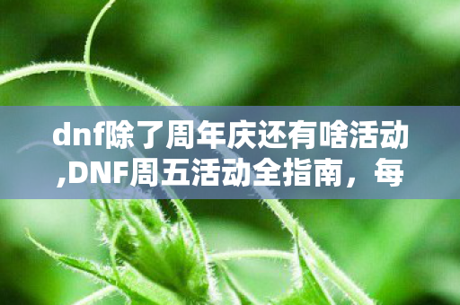 dnf除了周年庆还有啥活动,DNF周五活动全指南，每周更新节点的福利亮点梳理
