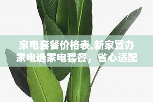 家电套餐价格表,新家置办家电选家电套餐,省心适配高性价比的居家新选择 家电套餐价格表,新家置办家电选家电套餐,省心适配高性价比的居家新选择
