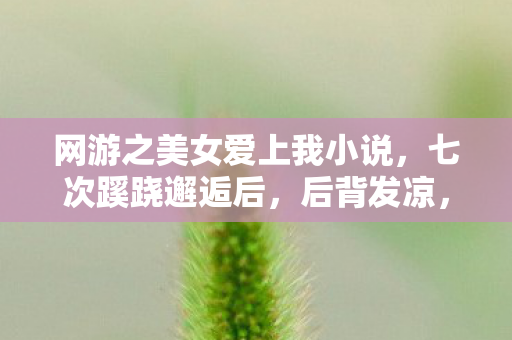 网游之美女爱上我小说，七次蹊跷邂逅后，后背发凉，我竟是网游最大冤种？