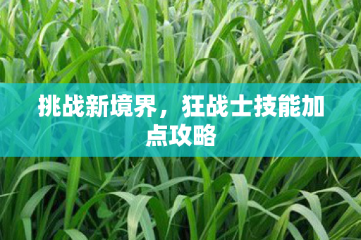 狂战士技能加点攻略图片